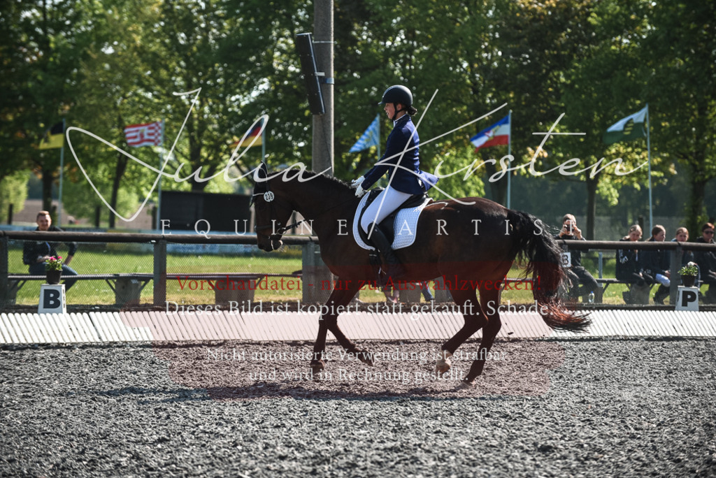 DSC_8781 | Pferde- und Turnierfotografie in Westsachsen. Pferdeportraits, Auftragszeichnungen und intuitive Kunst.