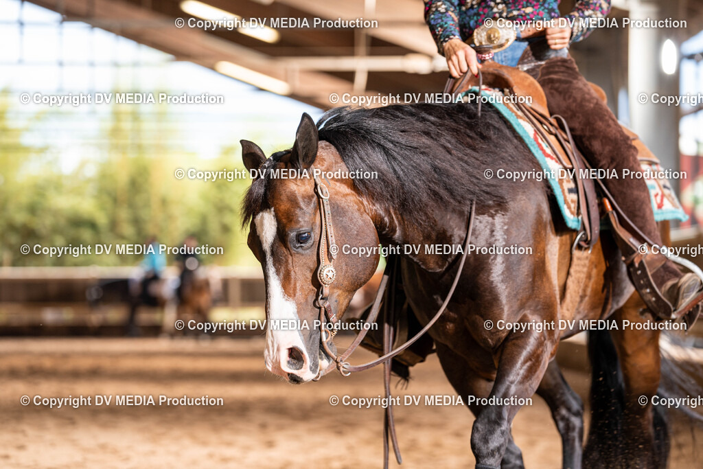 Erbach Tag 1-615 | dv-media-shop - Realisiert mit Pictrs.com