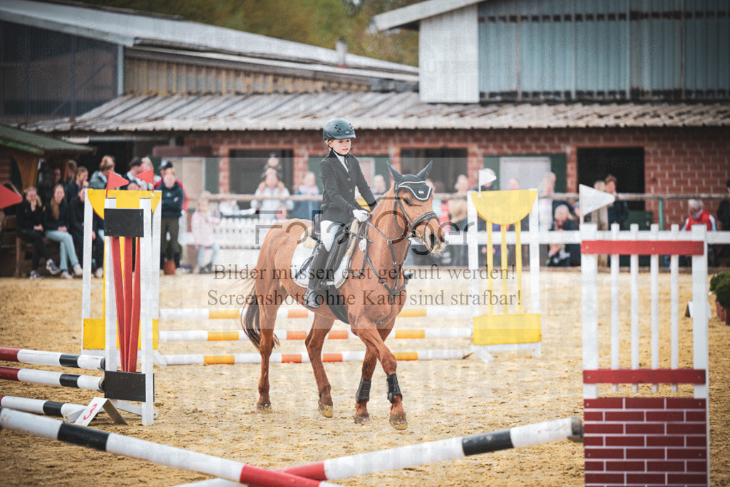 DOS_9140 | Entdecke hochwertige Reitturnierfotos von Foto Oger. Professionell, emotional und authentisch – jetzt Lieblingsmomente im Shop bestellen.Deutschlandweite Turnierfotografie. - Realisiert mit Pictrs.com