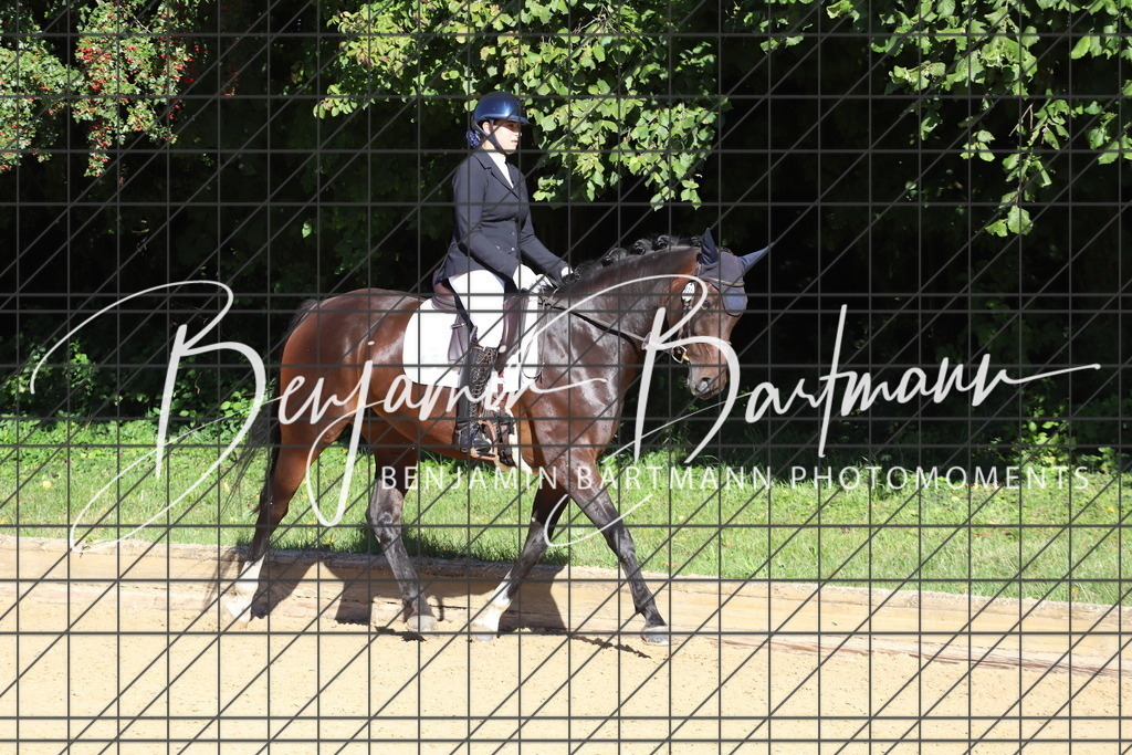 IMG_5203 | Benjamin Bartmann Photomoments