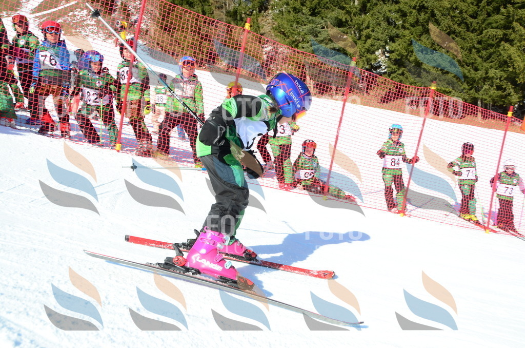 C4986 | holidayphoto