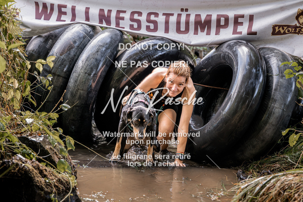 nelerasche_Hunsrück2026_Sa1400-1500_216 | nelerasche