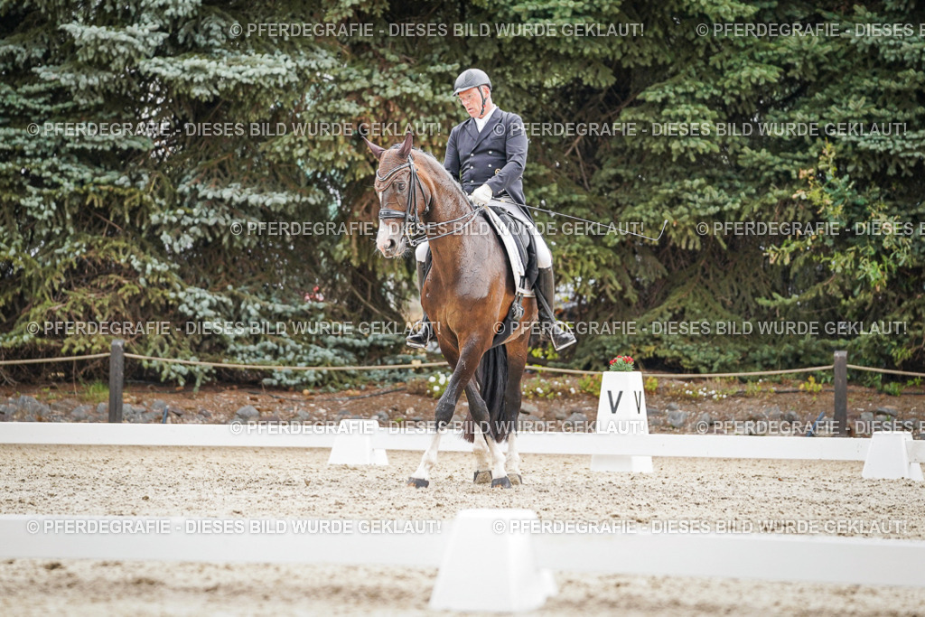 DSC06925 | Pferdegrafie