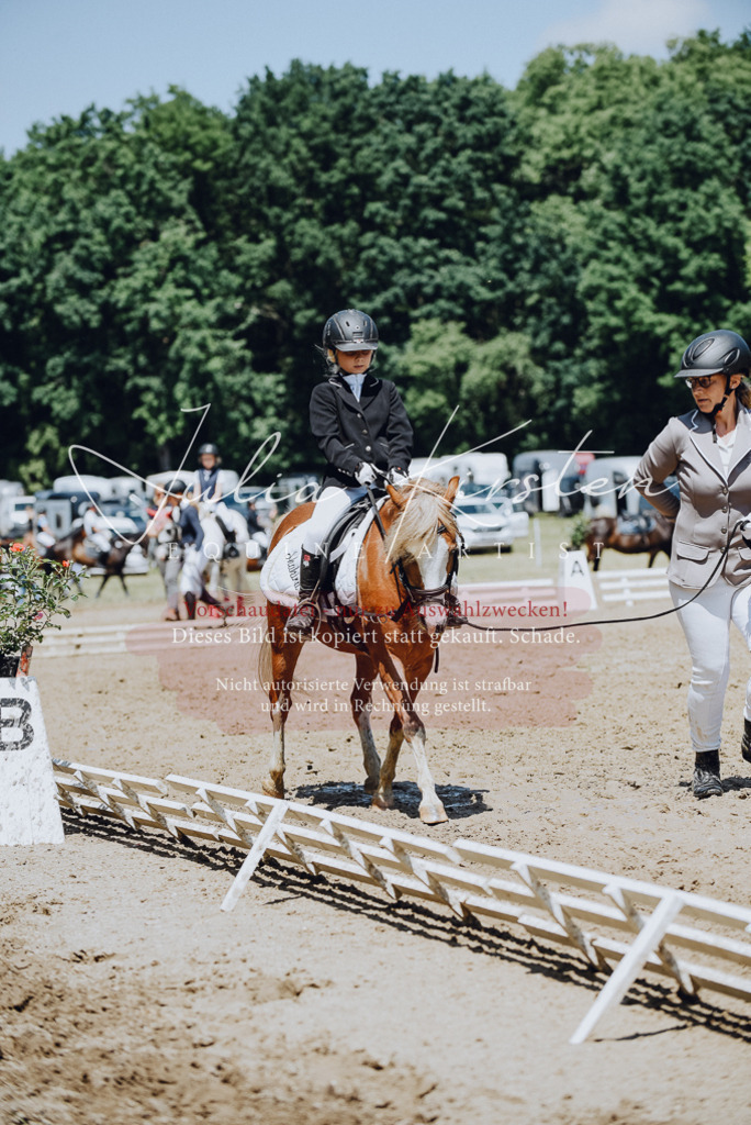 DSC_2250 | Pferde- und Turnierfotografie in Westsachsen. Pferdeportraits, Auftragszeichnungen und intuitive Kunst.