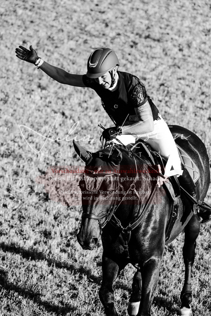 DSC_3303 | Pferde- und Turnierfotografie in Westsachsen. Pferdeportraits, Auftragszeichnungen und intuitive Kunst.
