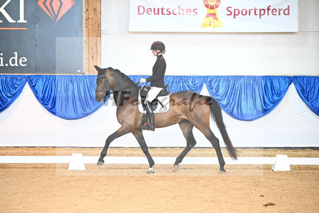 Kat-Nr. 36 Die Lotte AB_Baer_14240774 | hf-fotografie - Realisiert mit Pictrs.com