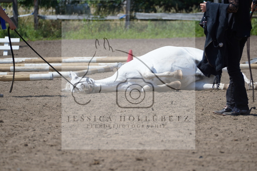 DSC09642 | jessicahollubetz_pferdephotographie - Realisiert mit Pictrs.com