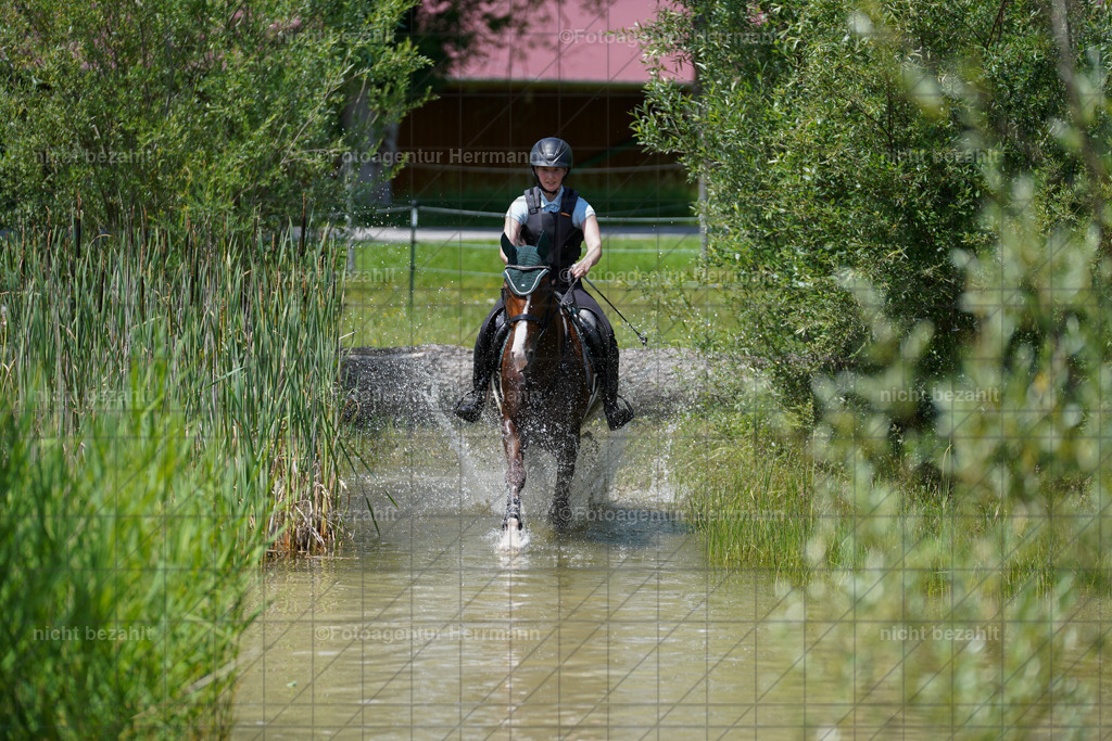 20240622-FAH07133 | Turnierfotografen Bayern, Reitsportbilder aus dem Geländekurs mit Felix Etzel auf dem Gut Waitzacker 2024