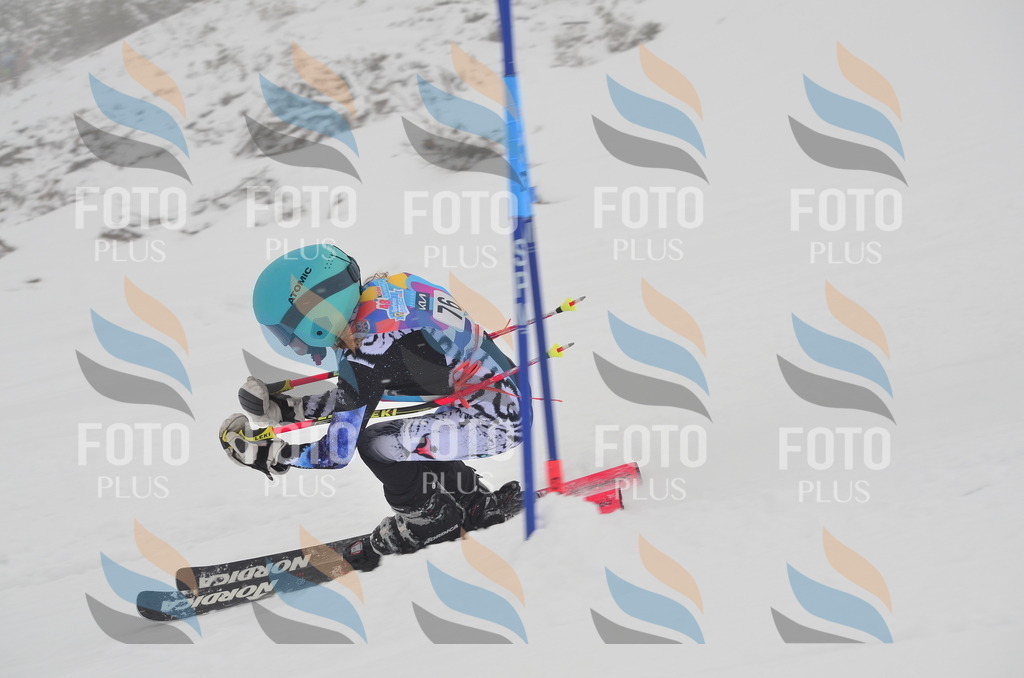 C1212 | holidayphoto