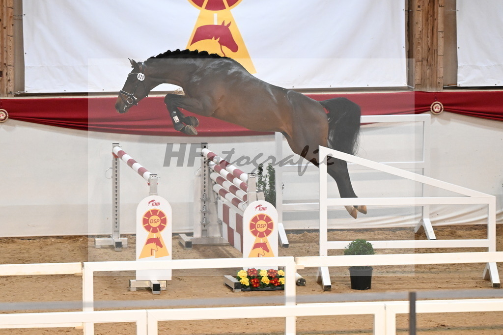 Kat.-Nr. 20 v. Dominatorre_Kohn_3261684 | hf-fotografie - Realisiert mit Pictrs.com