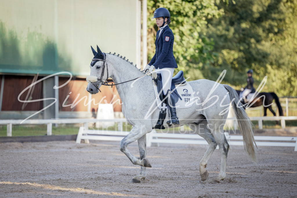 20250906-_3LI2629 | Tierfotografie Pferde, Hunde, Katzen, Haustiere.
Turnierfotografie Reitturniere, Reiten, Springreiten, Dressur in Hanau, dem Main-Kinzig-Kreis und dem Rhein-Main- Gebiet um Frankfurt