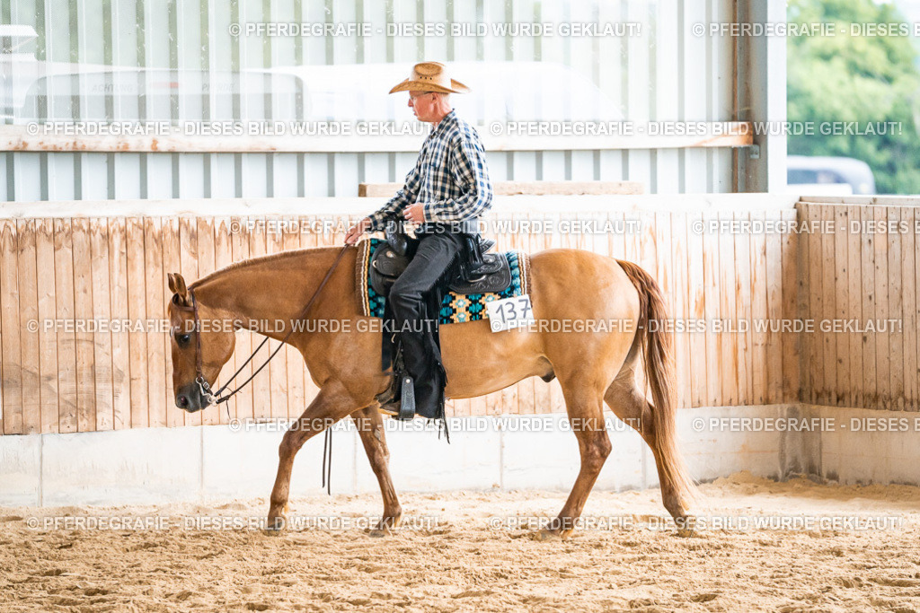 DSC00910 | Pferdegrafie