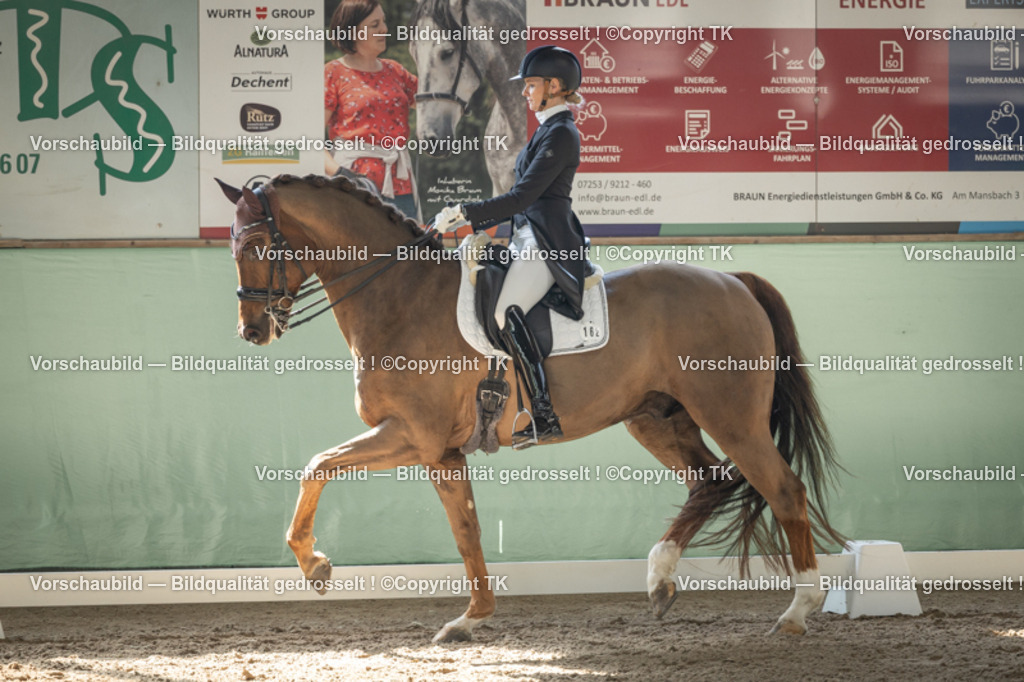 _D5A1238 | Emotionale Pferde- & People-Fotografie rund um Heidelberg, Leimen & Umgebung. Natürliche Fotos von Pferd, Mensch & Familie. Jetzt Termin sichern!