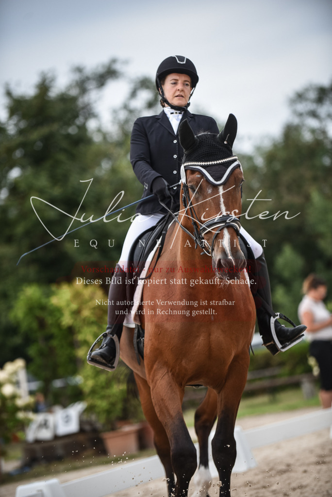 DSC_8068 | Pferde- und Turnierfotografie in Westsachsen. Pferdeportraits, Auftragszeichnungen und intuitive Kunst.