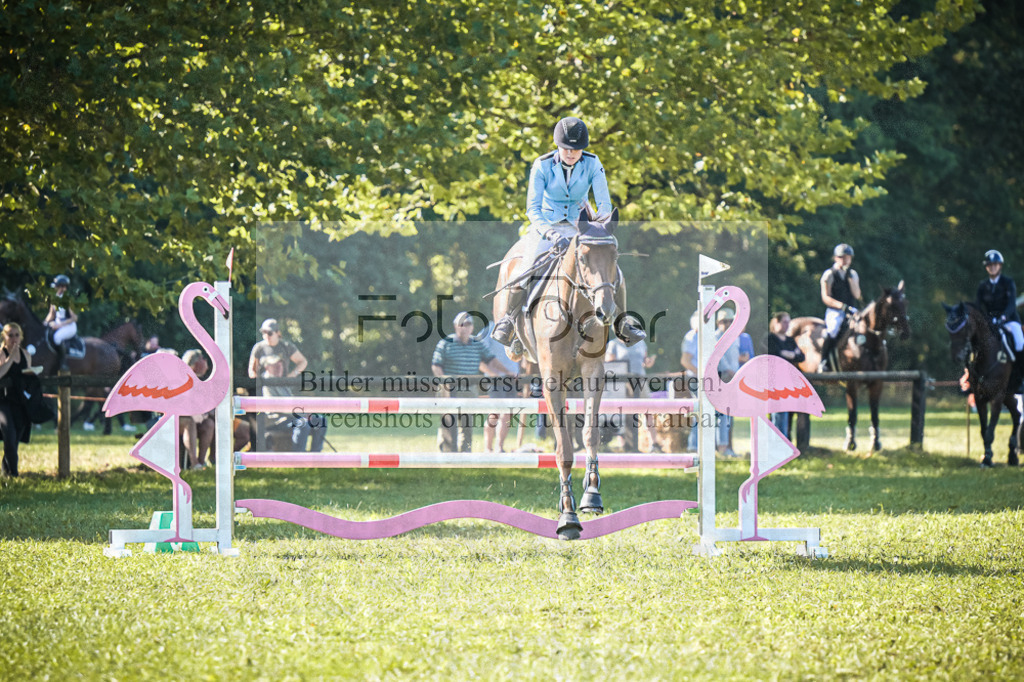 DOS_0324 | Entdecke hochwertige Reitturnierfotos von Foto Oger. Professionell, emotional und authentisch – jetzt Lieblingsmomente im Shop bestellen.Deutschlandweite Turnierfotografie. - Realisiert mit Pictrs.com