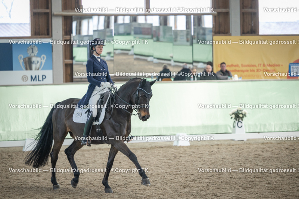 _D5A6536 | Emotionale Pferde- & People-Fotografie rund um Heidelberg, Leimen & Umgebung. Natürliche Fotos von Pferd, Mensch & Familie. Jetzt Termin sichern!