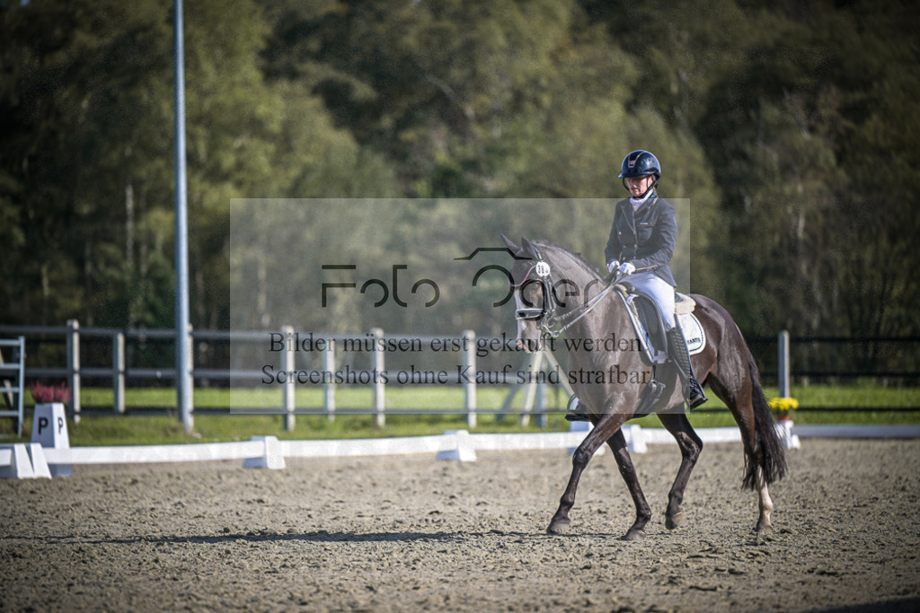 DOS_3156 | Entdecke hochwertige Reitturnierfotos von Foto Oger. Professionell, emotional und authentisch – jetzt Lieblingsmomente im Shop bestellen.Deutschlandweite Turnierfotografie. - Realisiert mit Pictrs.com