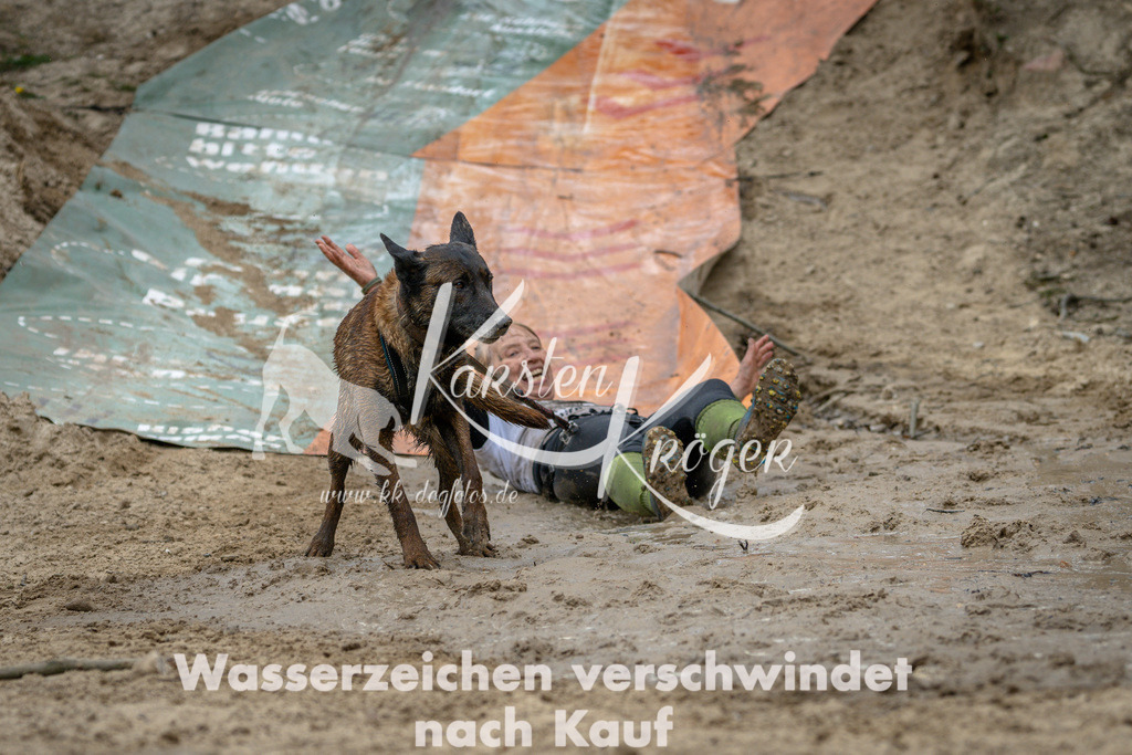 1256DSC_4200 | kk-dogfotos