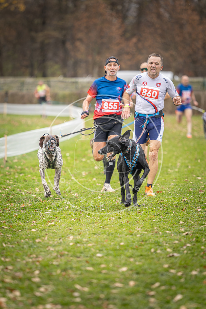 CaniXpix_DV3A6618 | Hundefotografie, Tierfotograf, Pfotenfotografie, Fotoshooting Hund, Hunde Portrait, Hundesport, Hundeportraits, Heideshooting, Hunde, Sportfotograf, Hundefotograf, Turnierhundsport, THS,  - Realisiert mit Pictrs.com