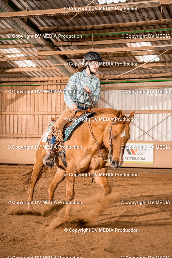 BA400233 | dv-media-shop - Realisiert mit Pictrs.com