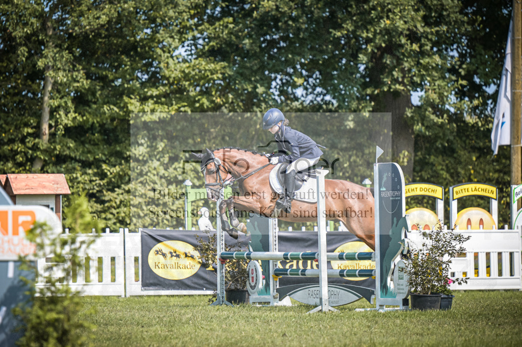 DOS_3417 | Entdecke hochwertige Reitturnierfotos von Foto Oger. Professionell, emotional und authentisch – jetzt Lieblingsmomente im Shop bestellen.Deutschlandweite Turnierfotografie. - Realisiert mit Pictrs.com