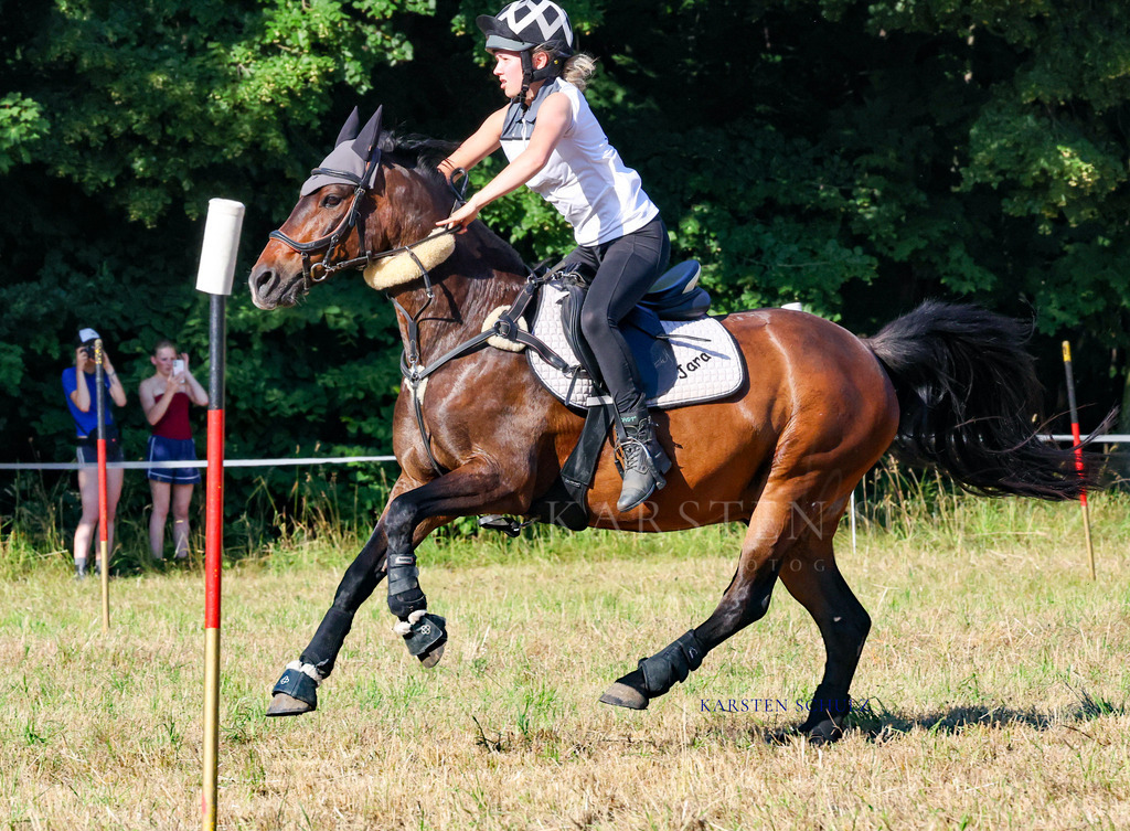 1B3A8541 | Reitsport Reiten