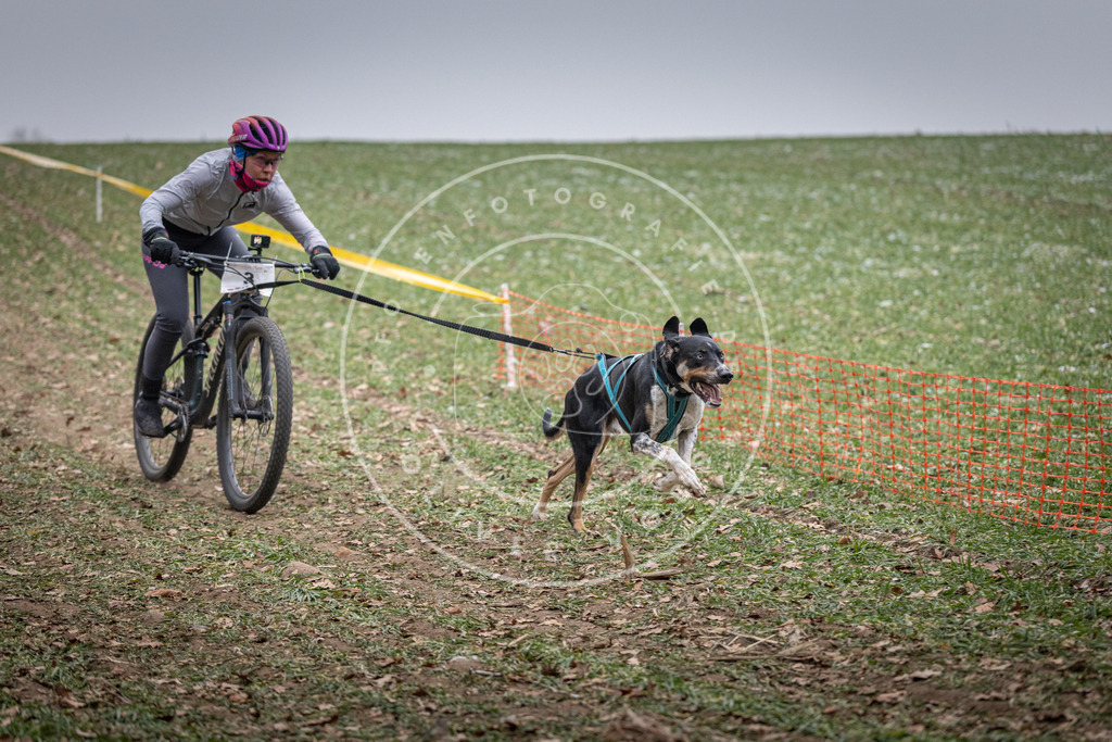 Pfotenfotografie_DV3A0977 | Hundefotografie, Tierfotograf, Pfotenfotografie, Fotoshooting Hund, Hunde Portrait, Hundesport, Hundeportraits, Heideshooting, Hunde, Sportfotograf, Hundefotograf, Turnierhundsport, THS,  - Realisiert mit Pictrs.com