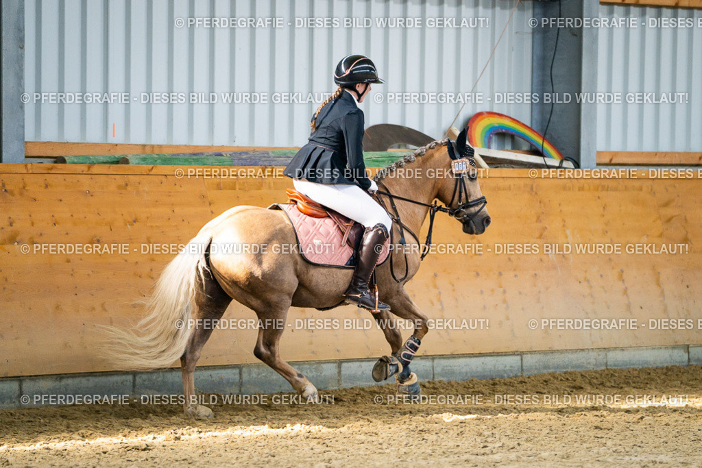 DSC01262 | Pferdegrafie