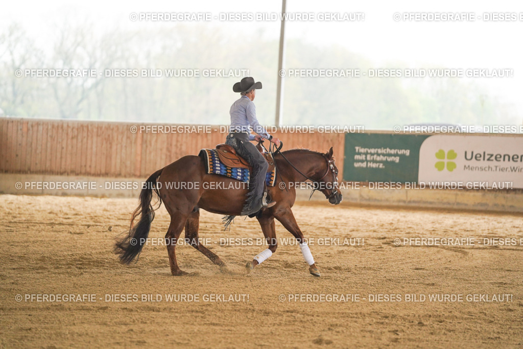 DSC09996 | Pferdegrafie