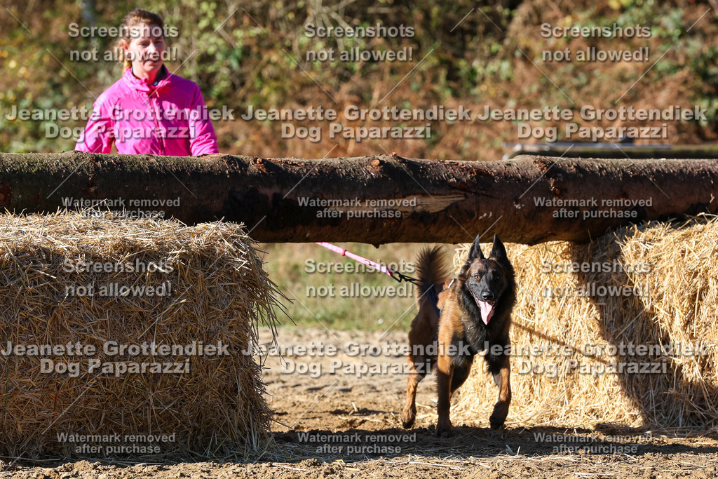Dog Paparazzi - Strongdog 10-25-1987 | Dog Paparazzi Jeanette Grottendiek Fotografie & Videografie - Realisiert mit Pictrs.com