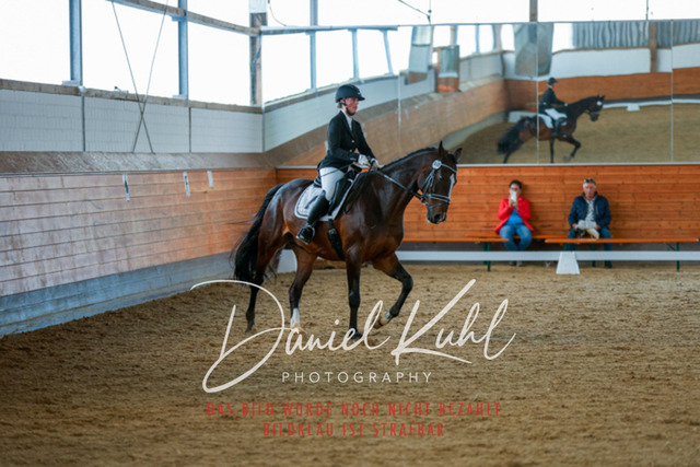 _62_6795 | Turniersportfotografie; Pferdefotografie; Dressurfotografie