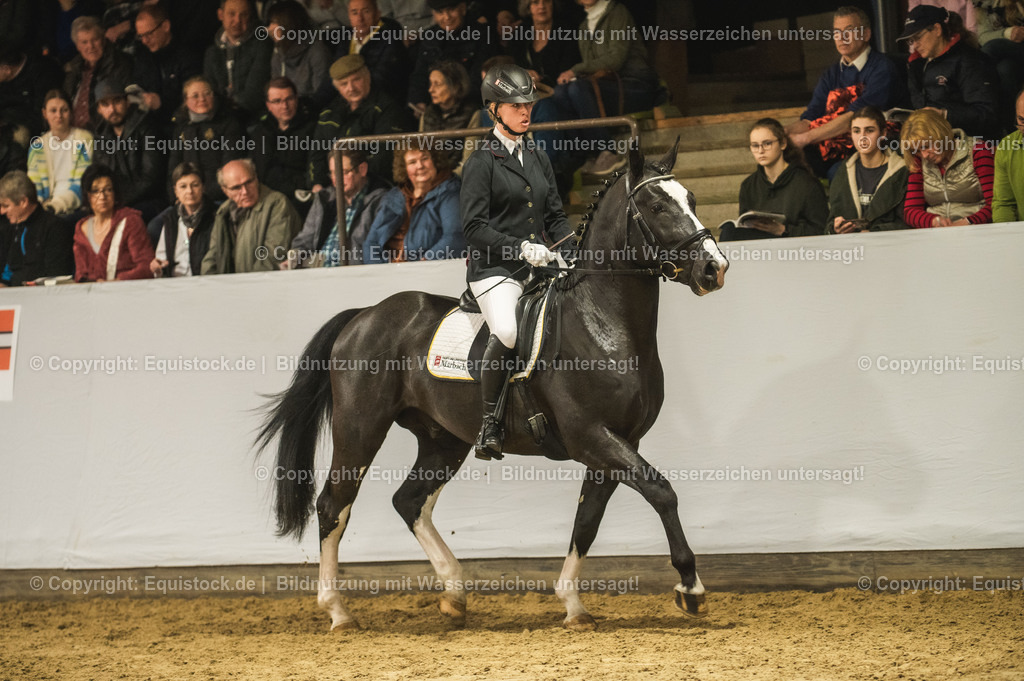 20240302_Hengstvorstellung_Marbach_TOMsPiC_0677-2 | equistock