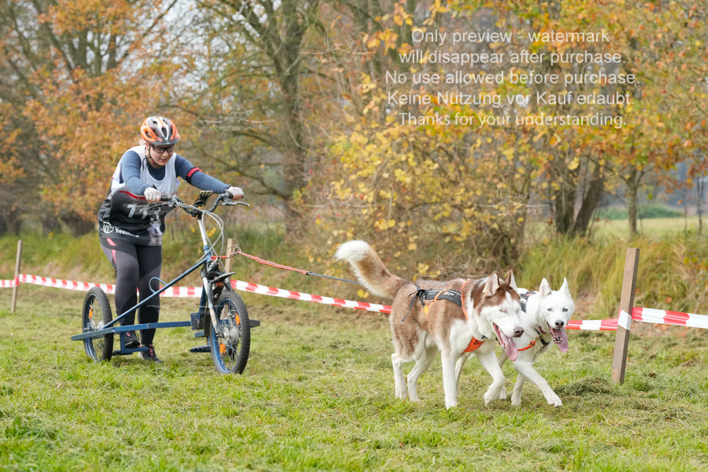 Visbeck_Sa_DS2DR2-155 | stephaniefillaphotographie - Realisiert mit Pictrs.com