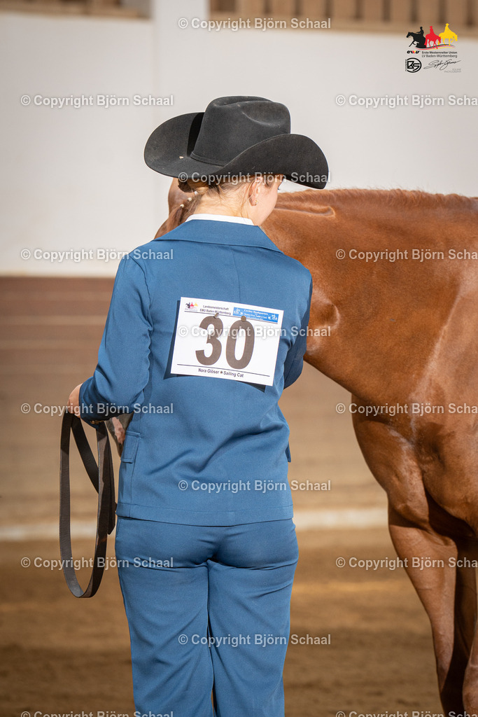 LMS05487 | BS-foto