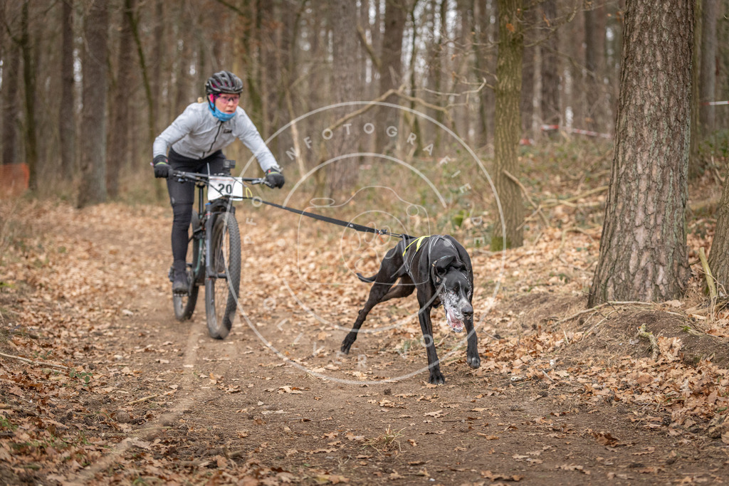 Pfotenfotografie_DV3A7453 | Hundefotografie, Tierfotograf, Pfotenfotografie, Fotoshooting Hund, Hunde Portrait, Hundesport, Hundeportraits, Heideshooting, Hunde, Sportfotograf, Hundefotograf, Turnierhundsport, THS,  - Realisiert mit Pictrs.com