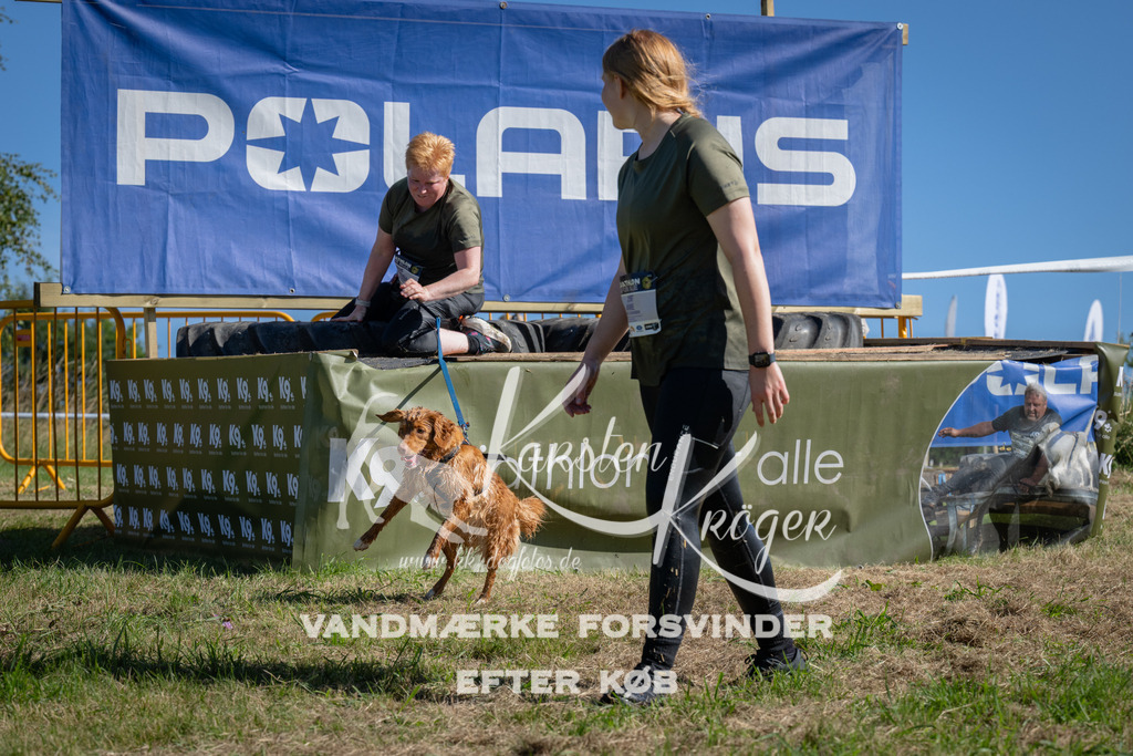 1025_ZZ98596 | kk-dogfotos