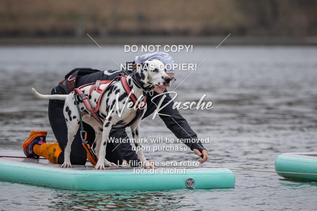 nelerasche_Hulsbeek_Sa1430-1515_213 | nelerasche