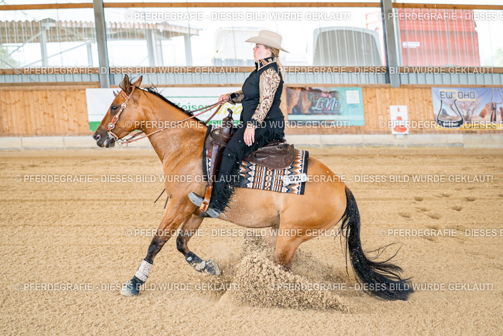 DSC05420 | Pferdegrafie