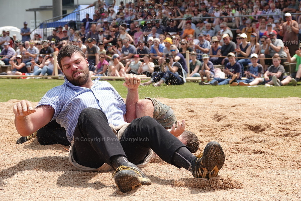 DSC04586 | Schwingen - Realisiert mit Pictrs.com
