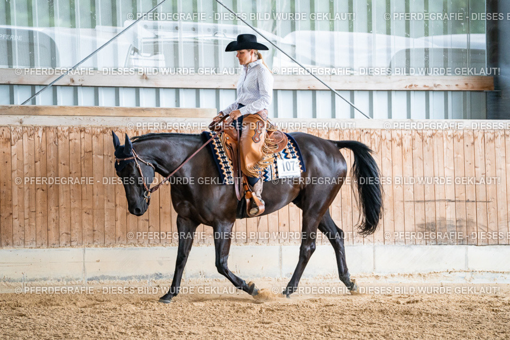 DSC09880 | Pferdegrafie