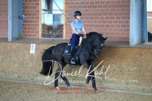 DKP42728 | Turniersportfotografie; Pferdefotografie; Dressurfotografie