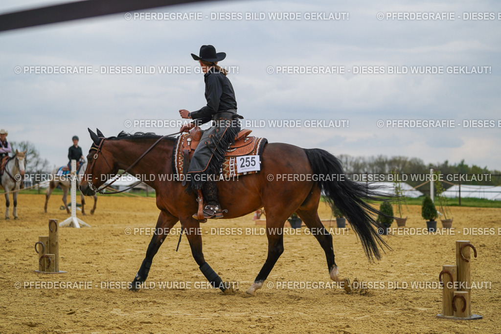 DSC07668 | Pferdegrafie