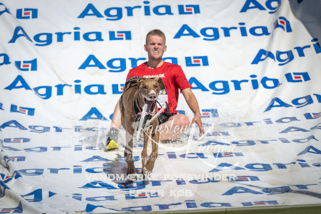 1406_ZZ92456 | kk-dogfotos