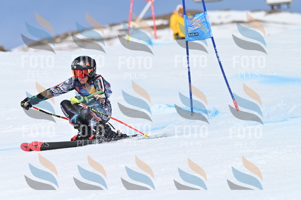 BGV_1044 | holidayphoto