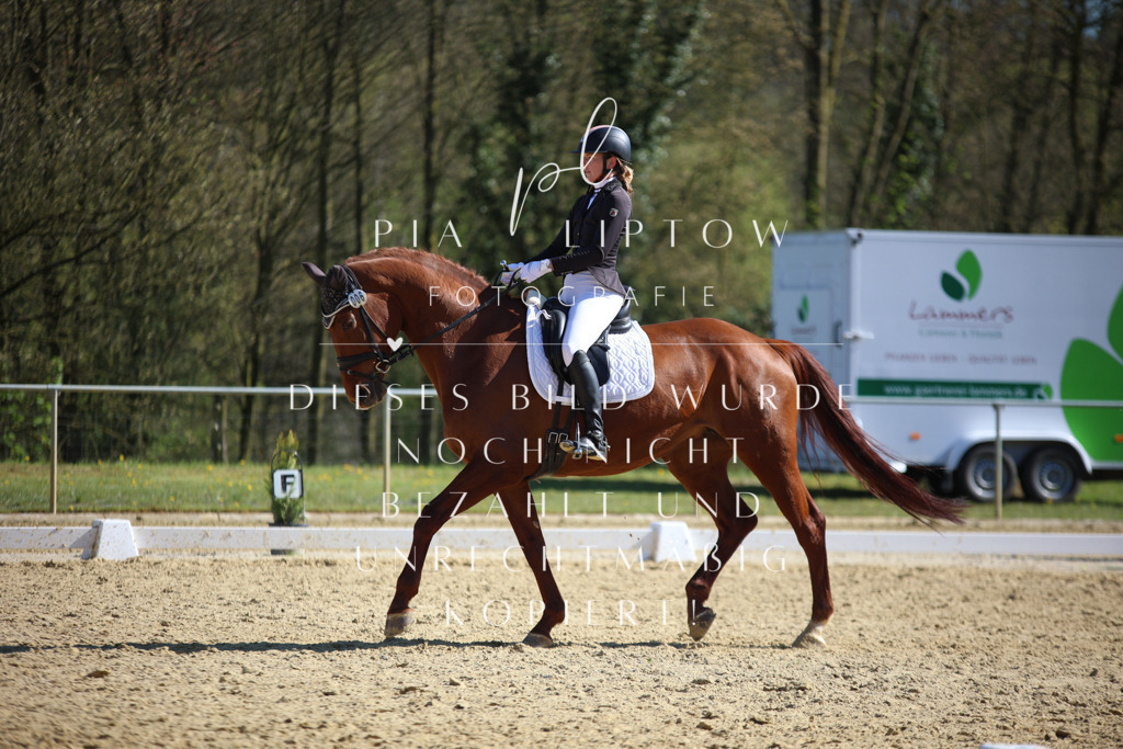 IMGT8738 | pl-fotografie