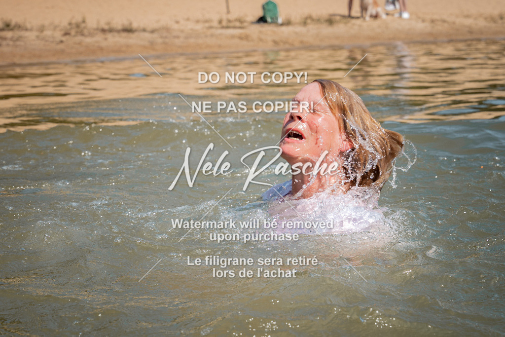 nelerasche_saSUP3_73 | nelerasche
