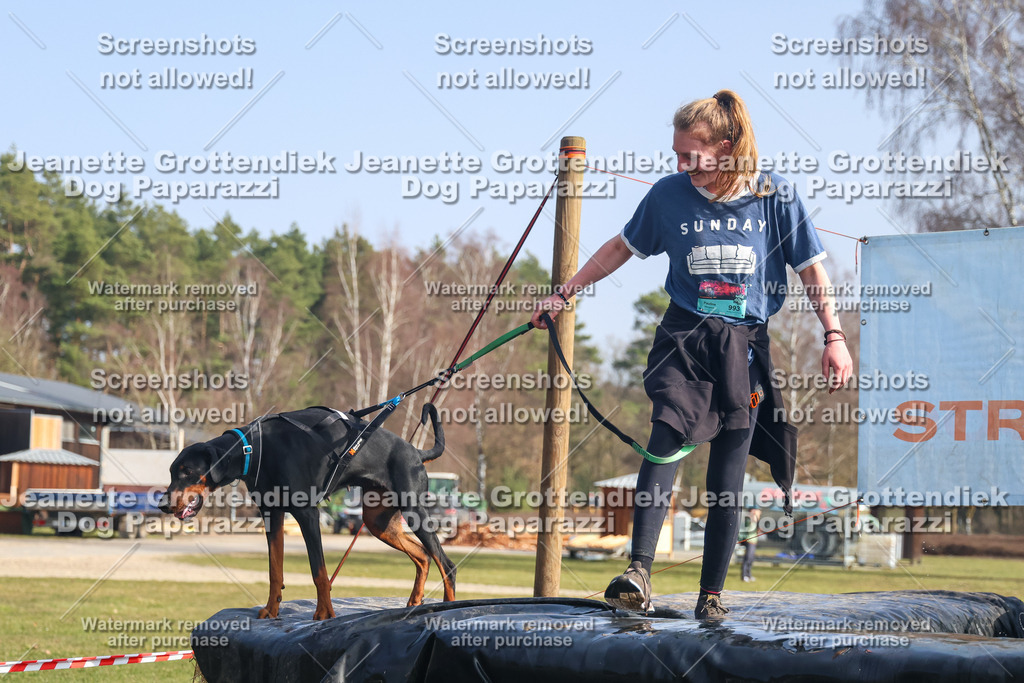 Dog Paparazzi - Strongdog North Mrz26-1844 | Dog Paparazzi Jeanette Grottendiek Fotografie & Videografie - Realisiert mit Pictrs.com