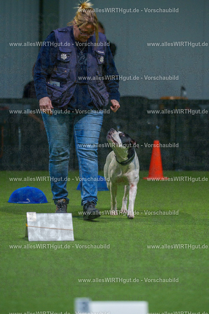 7R507760 | Professionelle Tierfotografie in Mönchengladbach von Daniel Wirth (allesWIRTHgut). Liebevolle & natürliche Bilder von Hunden & Katzen für unvergessliche Erinnerungen.