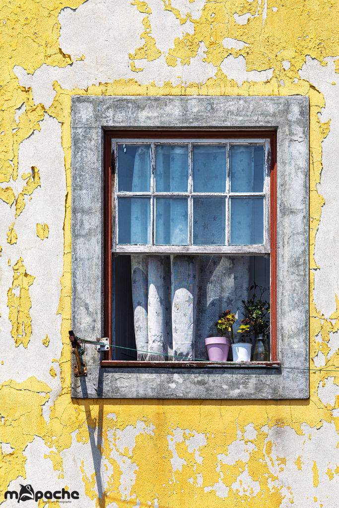 _AP23152 | Bernd Lutz Photographie - Realisiert mit Pictrs.com