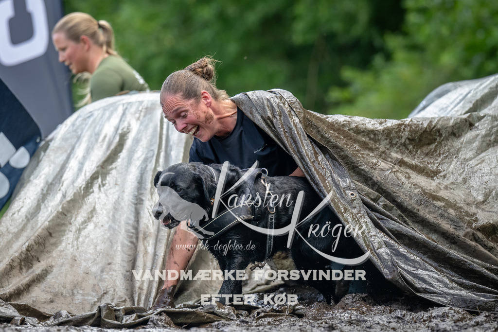 1144_ZZ94104 | kk-dogfotos